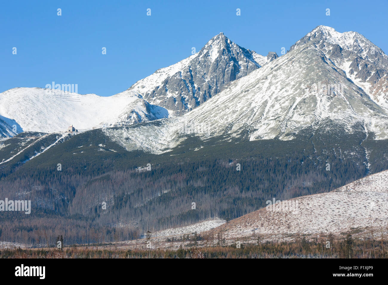Winter-Berglandschaft. Westliche Tatra (Polen). Stockfoto
