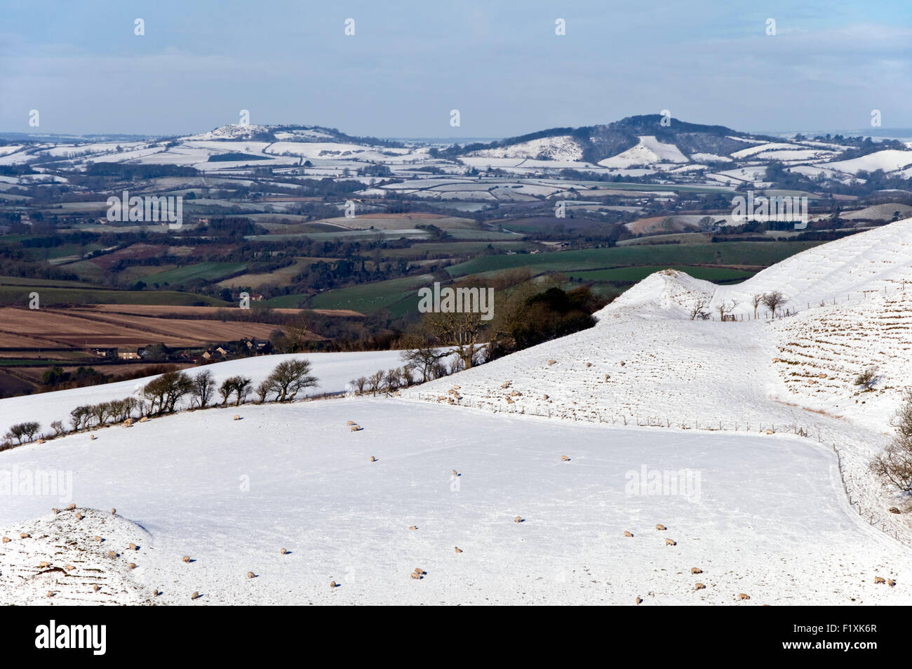 Schnee auf Eggardon Hügel in der Nähe von Askerswell in Dorset, England, UK Stockfoto