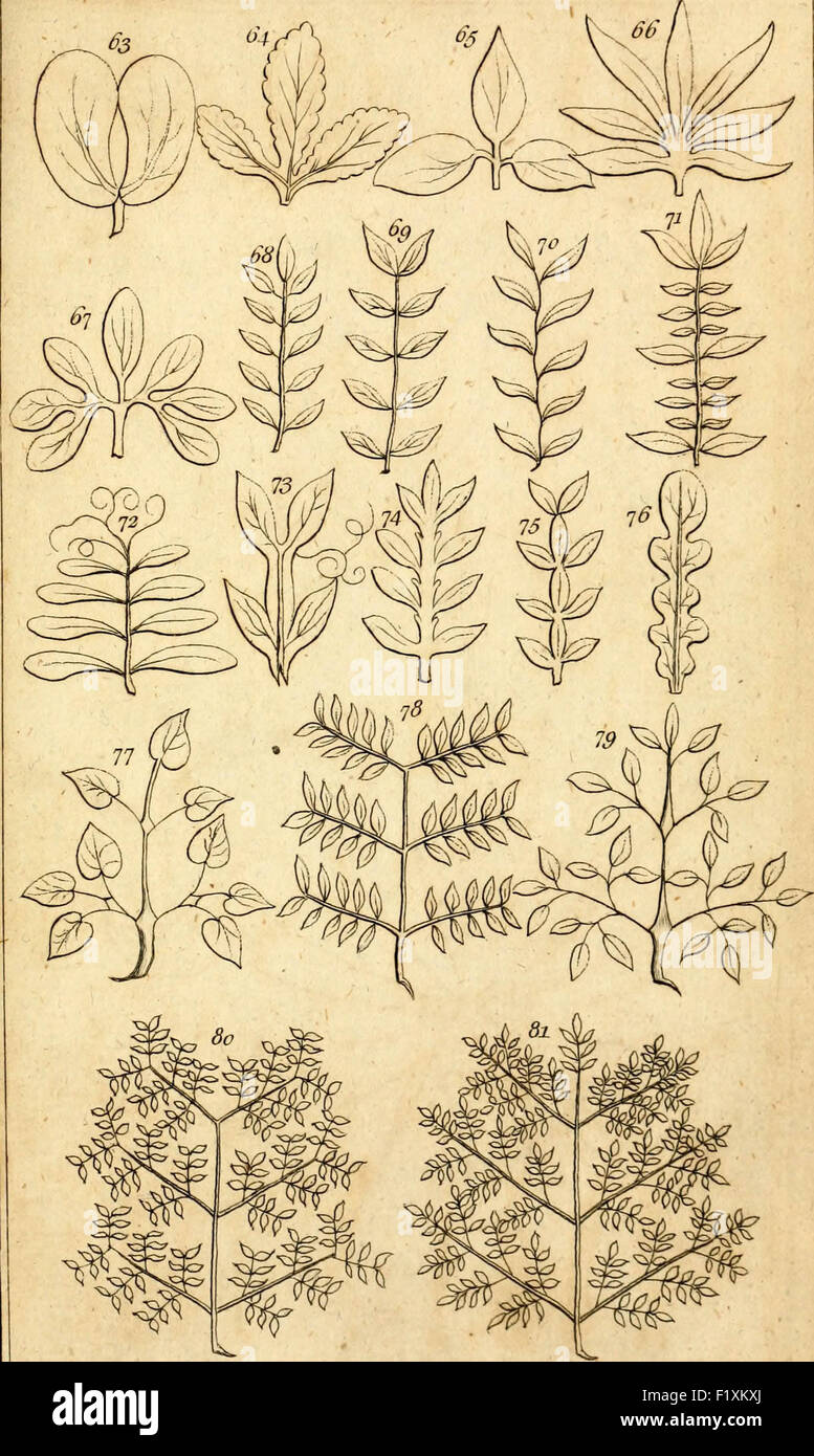 Die Elemente der Botanik... Wird eine Übersetzung der Philosophia Botanica und andere Abhandlungen von den gefeierten Linné, wh Stockfoto
