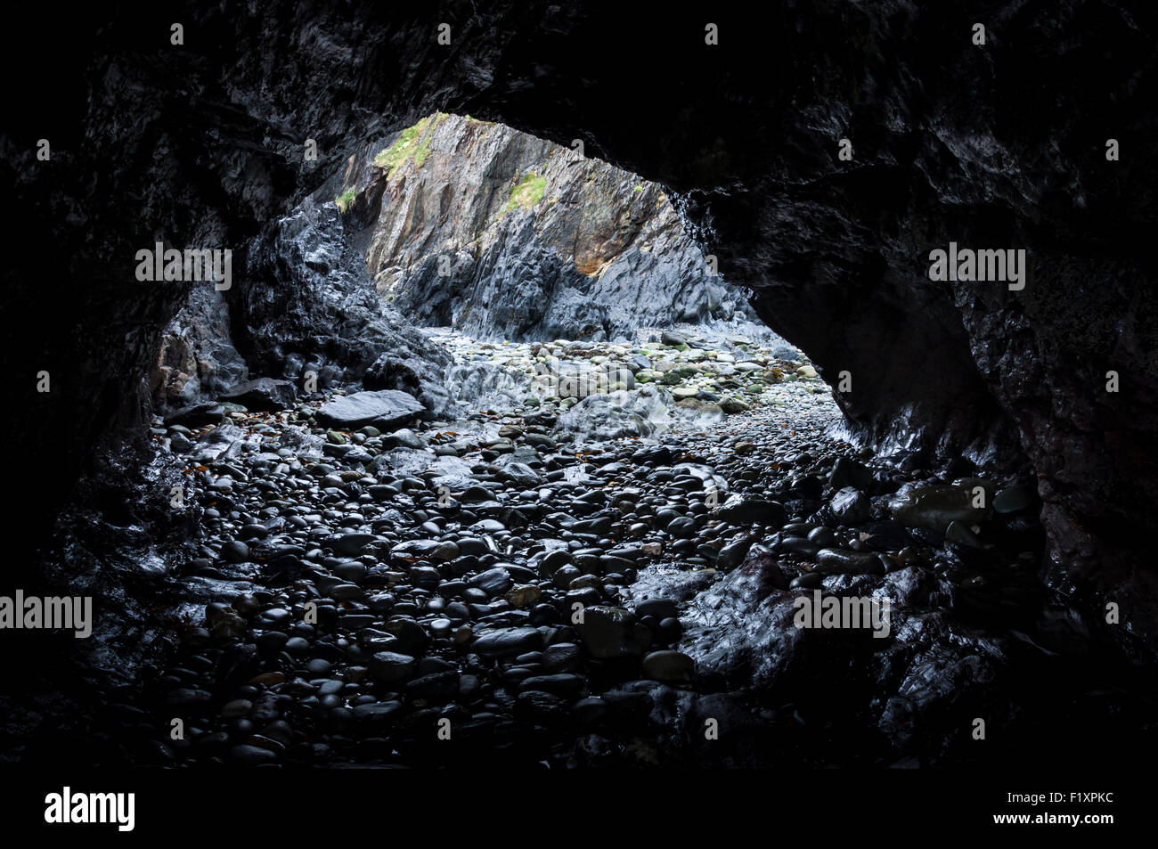 Dunkle Höhle am Strand von Trefin in Pembrokeshire, Wales. Stockfoto