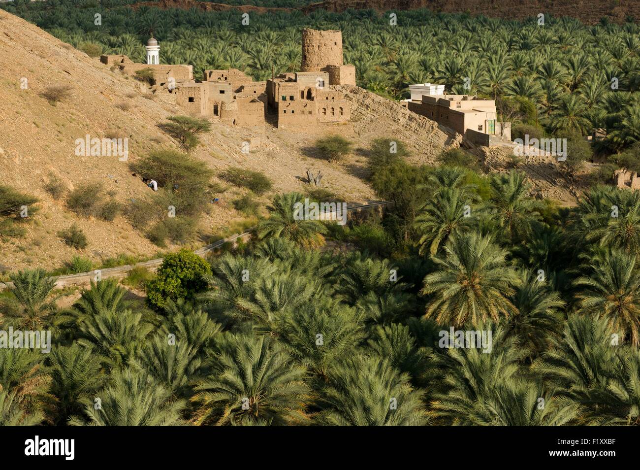 Oman, Djebel Shams, Birkat Al Mawz Dorf und Oase Stockfoto