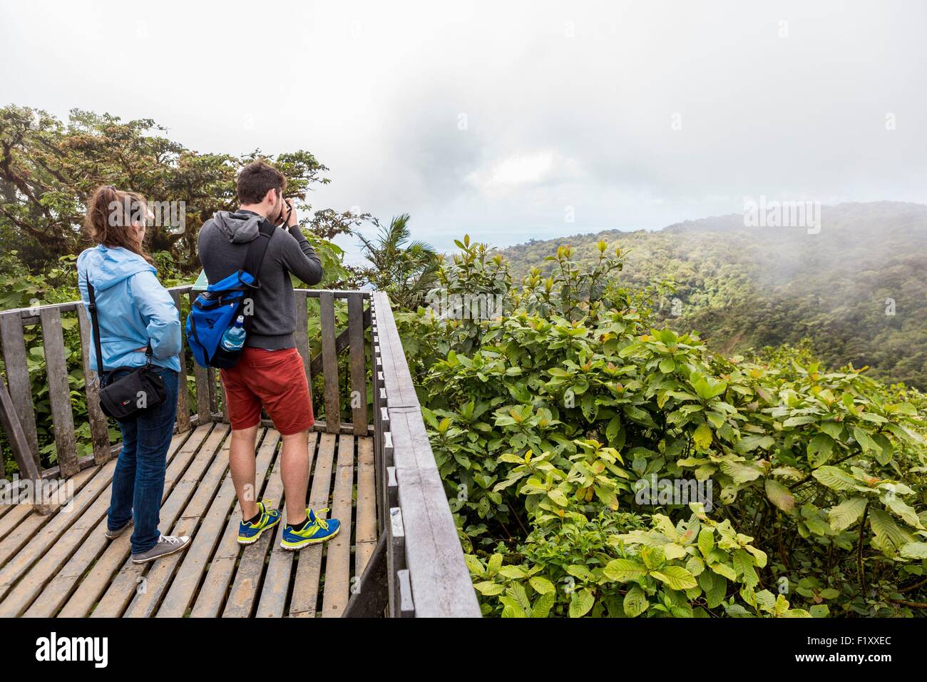 Costa Rica, Provinz Puntarenas, Monteverde Nebelwald, Reserva Biologica del Bosque (biologische Reserve des Nebelwaldes) Stockfoto