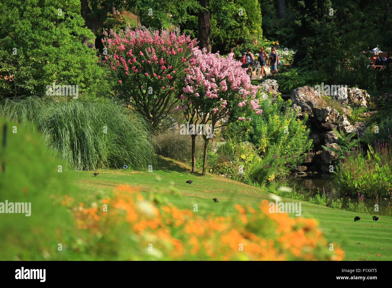 Frankreich, Loire-Atlantique, Nantes, der Jardin des Plantes in Nantes Stockfoto