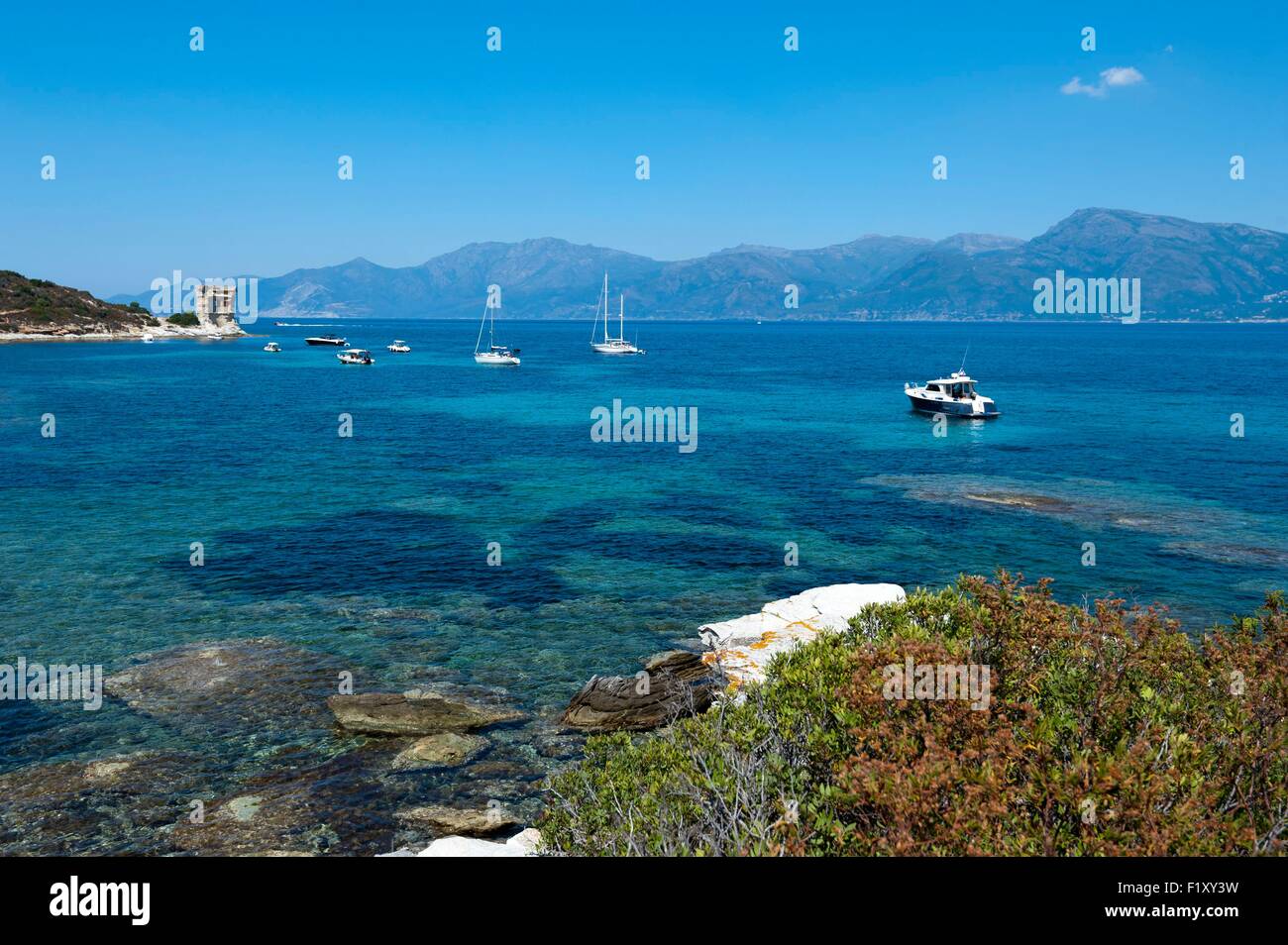 Frankreich, Haute Corse, Agriates Wüste, Golf von Saint-Florent, Mortella Turm Stockfoto