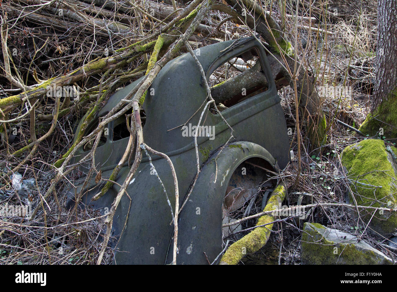 Rostige alte Auto im Wald versteckt Stockfoto