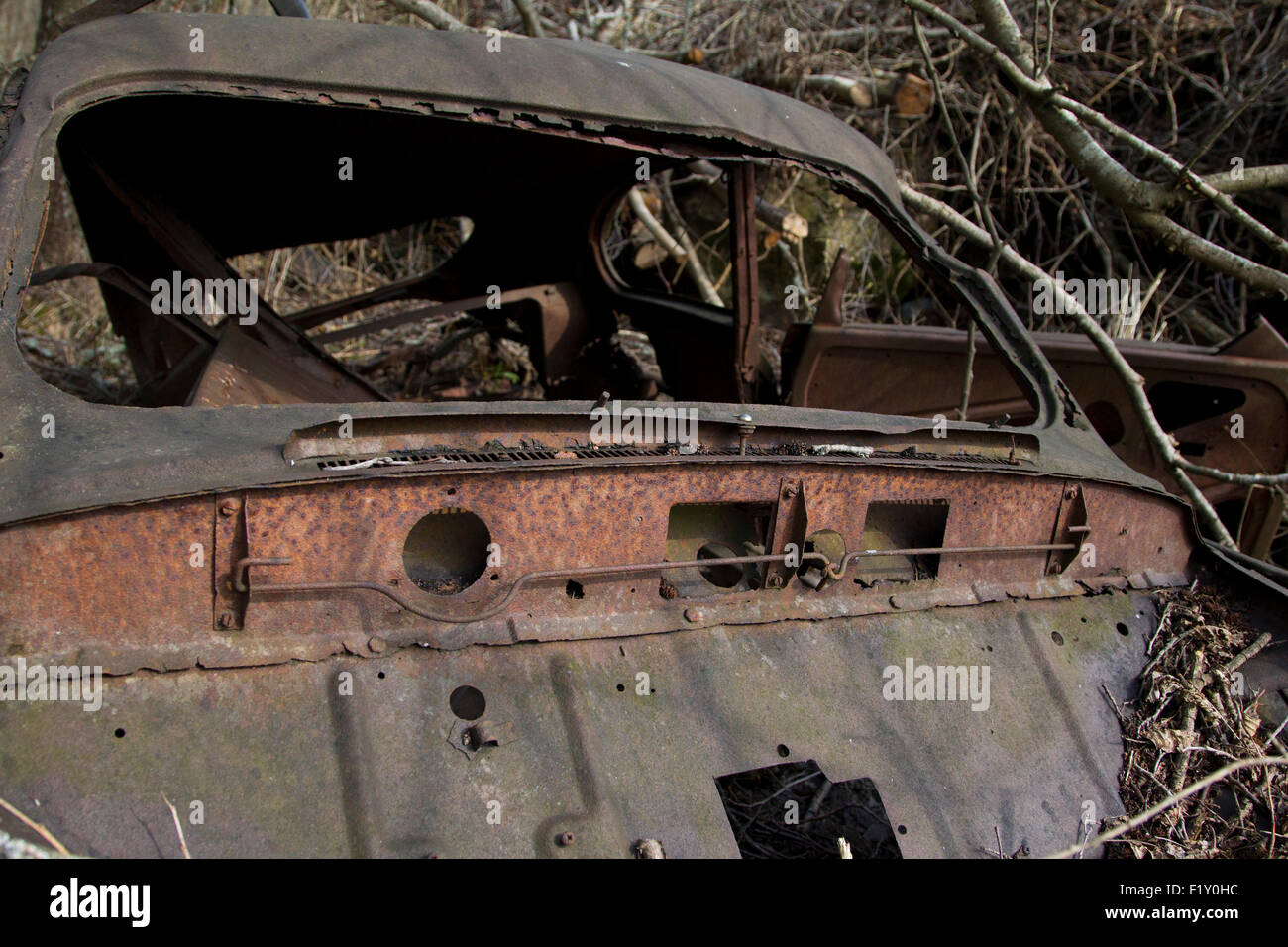 Rostige alte Auto im Wald versteckt Stockfoto