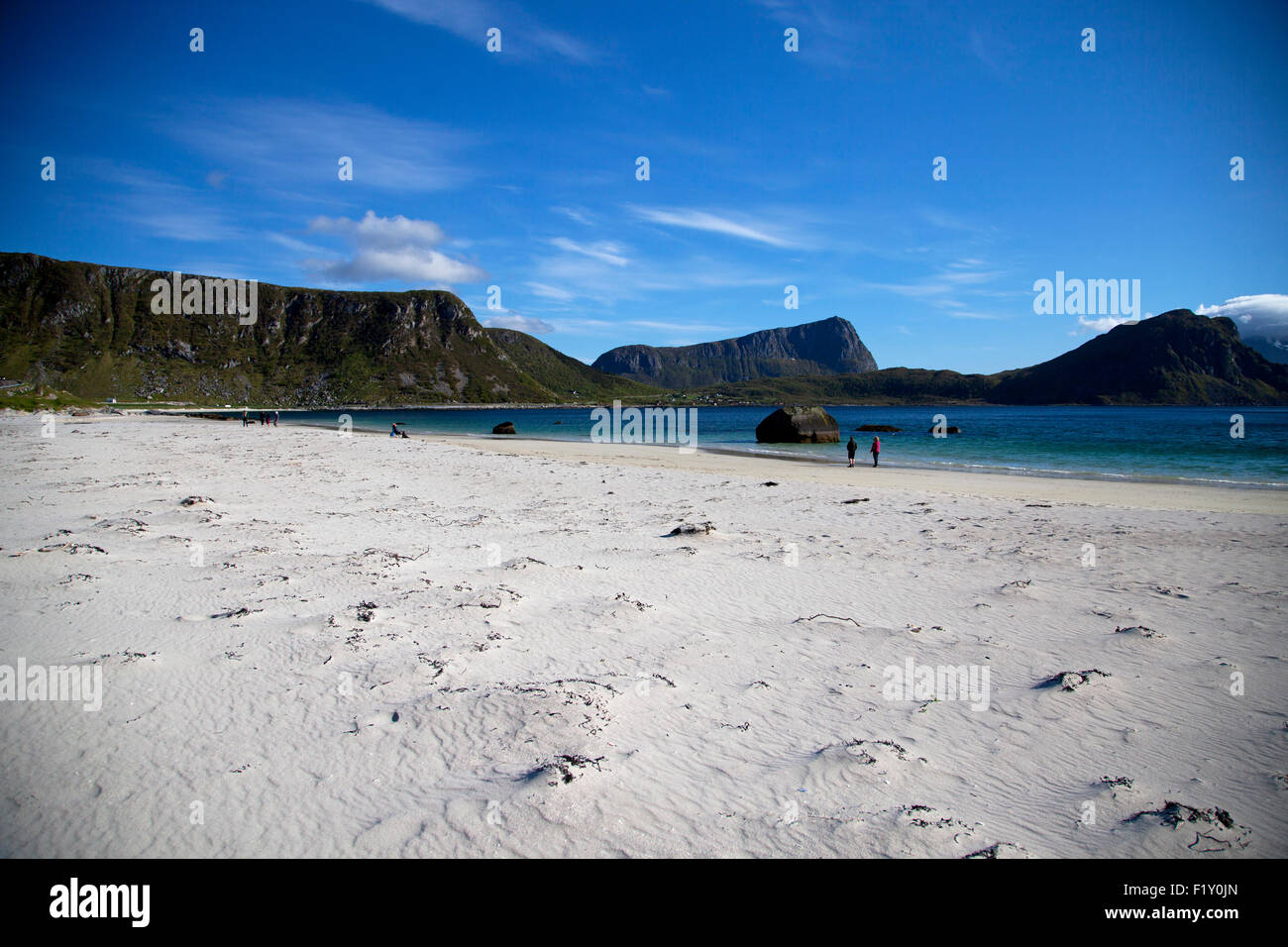 Feiner Sandstrand auf den Lofoten in Norwegen Stockfoto