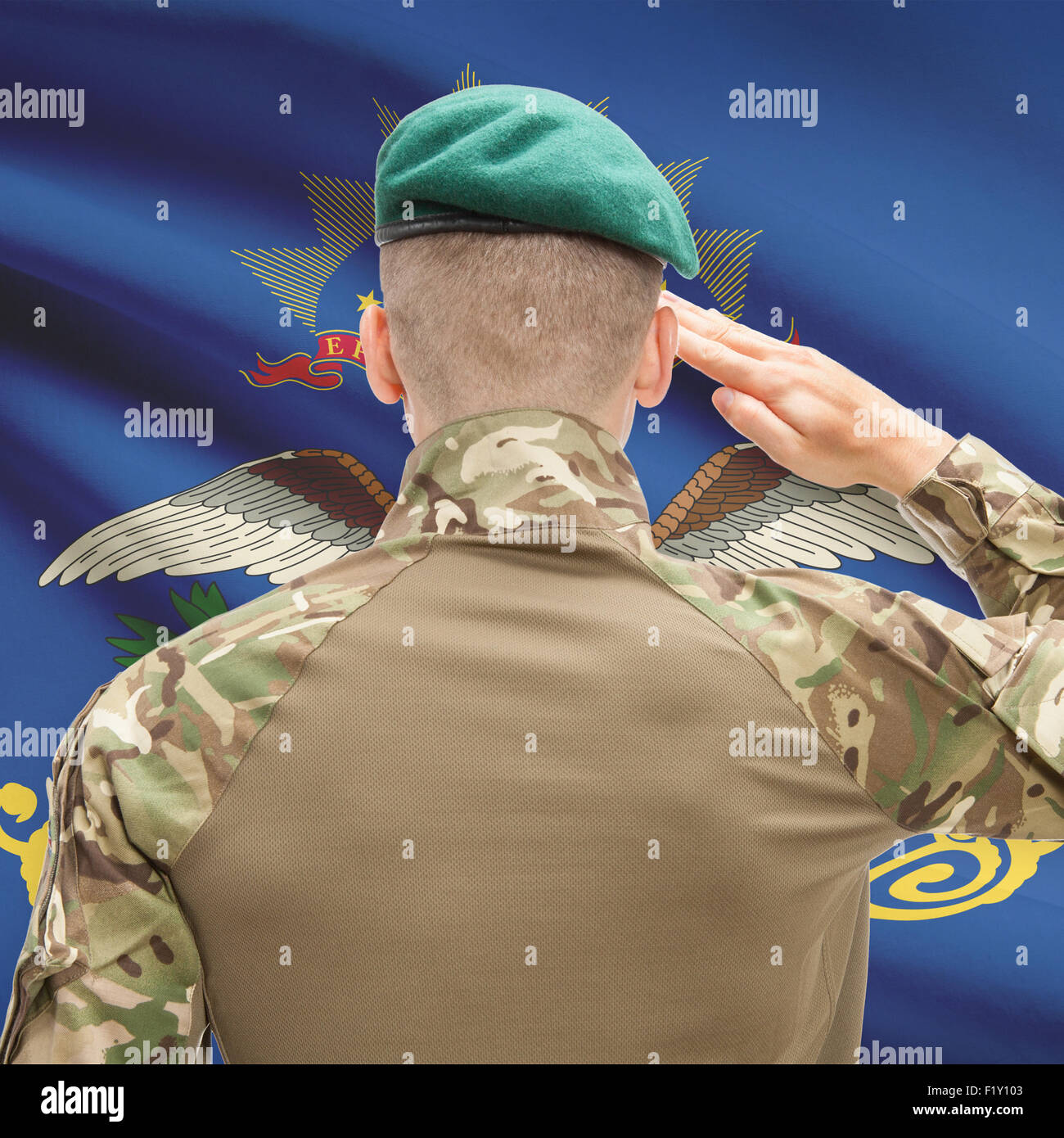 Soldaten salutieren, US State flag Serie - North Dakota Stockfoto