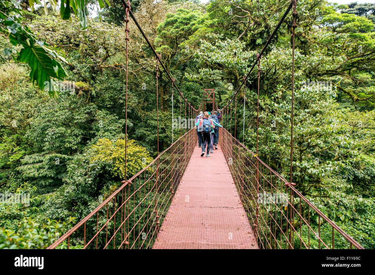 Costa Rica, Provinz Puntarenas, Monteverde Nebelwald, Reserva Biologica del Bosque (biologische Reserve des Nebelwaldes) Stockfoto