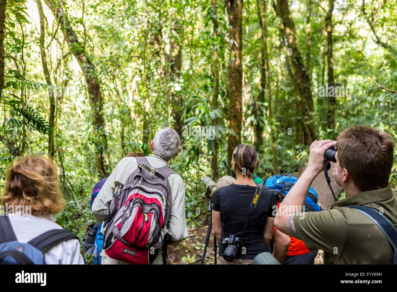 Costa Rica Puntarenas Provinz, Monteverde Nebelwald, Reserva Biologica del Bosque (biologische Reserve des Nebelwaldes), Leitfaden zur Beobachtung von Tieren Stockfoto