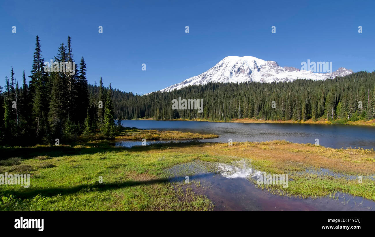 Frühen Herbstmorgen am Reflection Lake, Mt. Rainier. Stockfoto