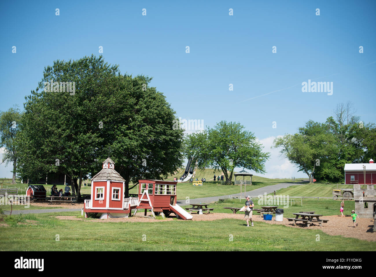 GERMANTOWN, Maryland – Besucher pflücken während der Hochsaison reife Erdbeeren in den Feldern von Butler's Orchard. Die familiengeführte Farm liegt in der sanften Landschaft des Montgomery County und bietet ein beliebtes Erlebnis, das Sie sich selbst wählen können, als Teil der Agritourismus-Attraktionen. Stockfoto