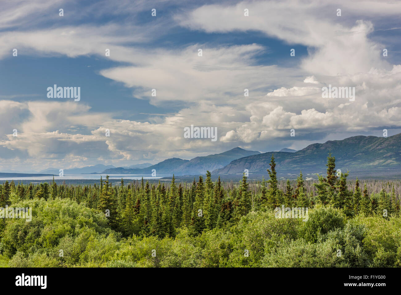 Kanada, Yukon, Kluane, Scenic, Burwash Landing Stockfoto