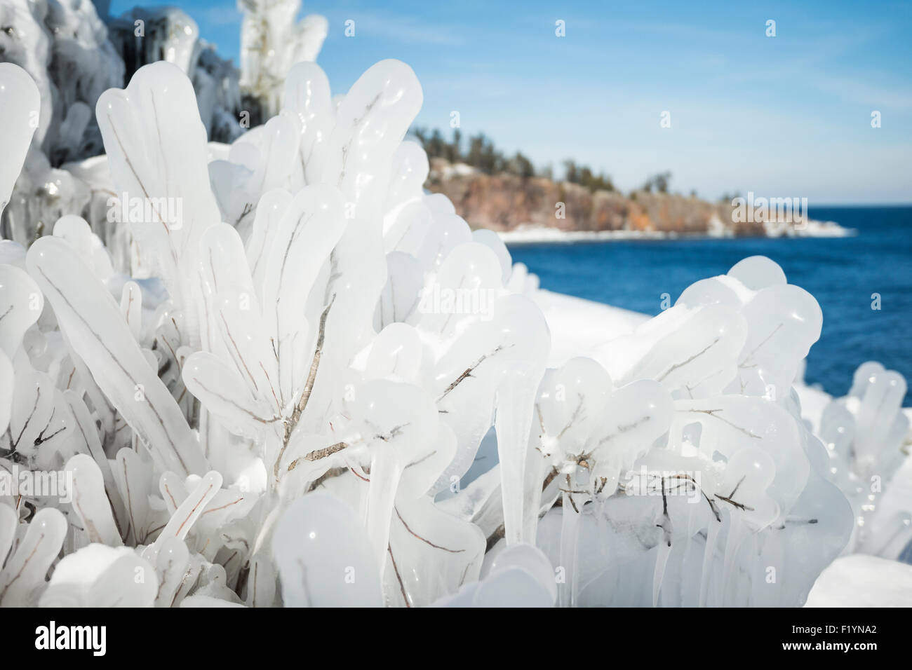 Gefrorenen Wald entlang Lake Superior im Winter nach einer 15 ft Welle stürzte in einer Klippe und das eiskalten Wasser gefror sofort Pflanzen Stockfoto