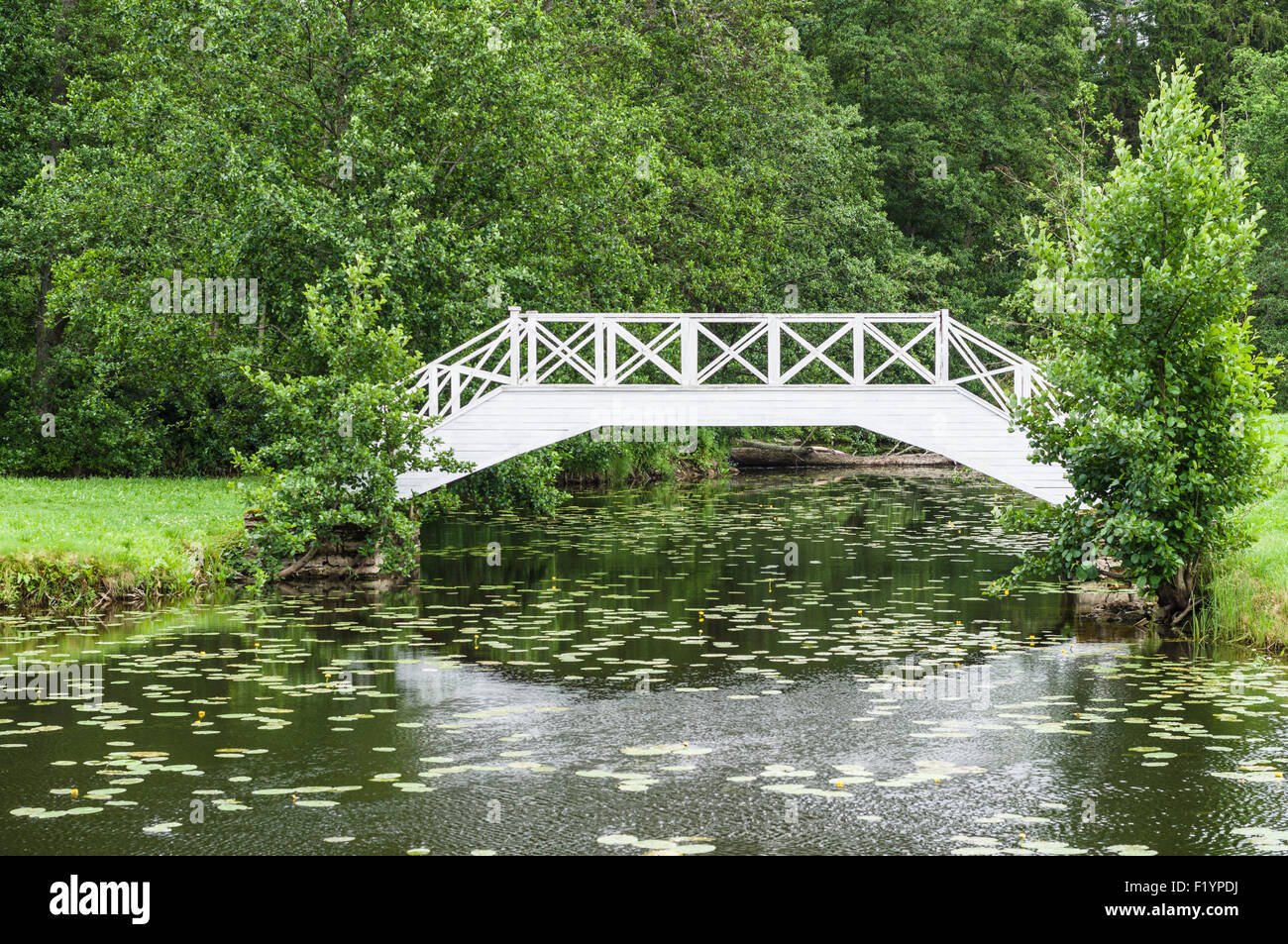 Dekorative weiße Holzbrücke über den kleinen Teich im park Stockfoto