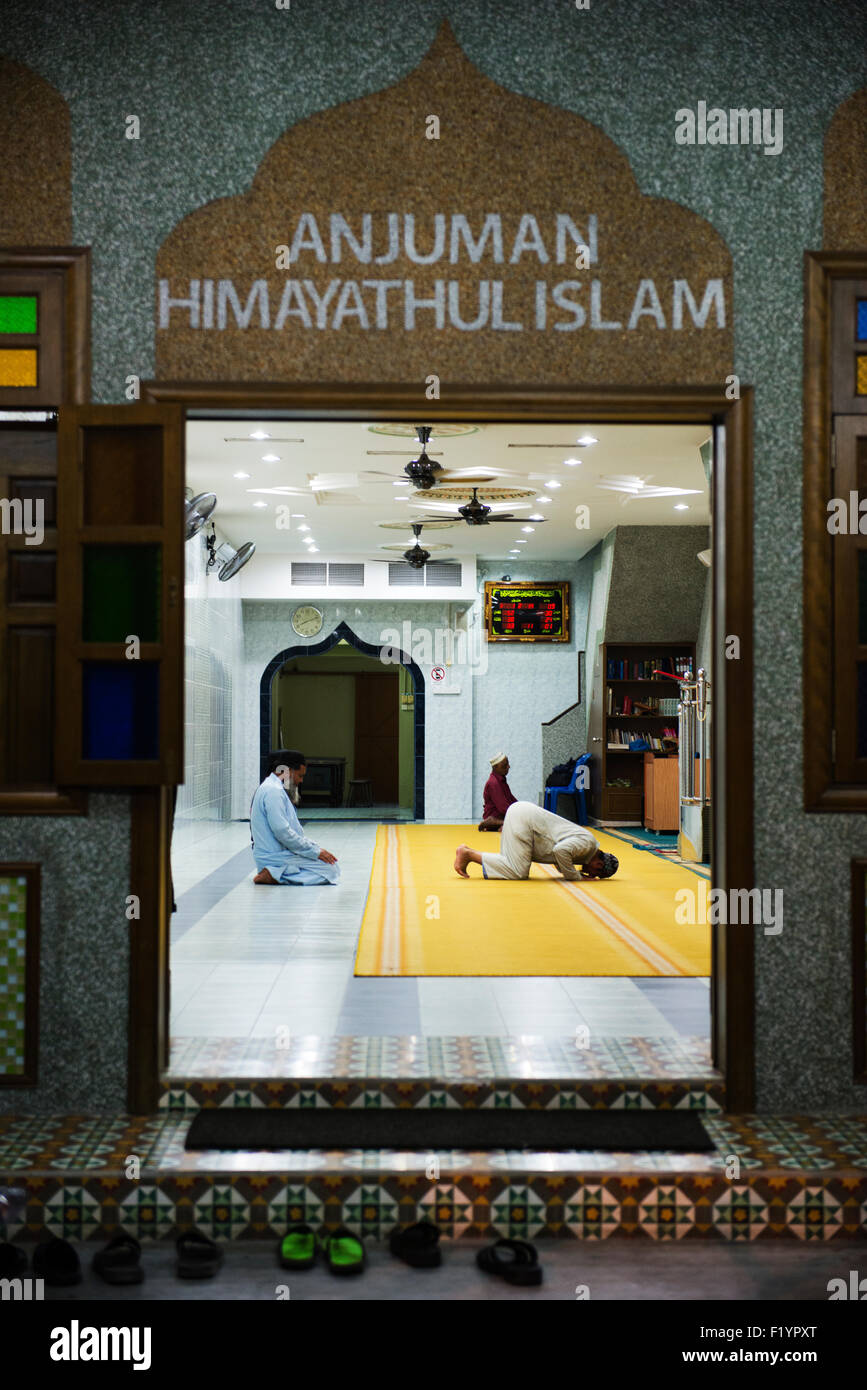 Salat al isha Fotos und Bildmaterial