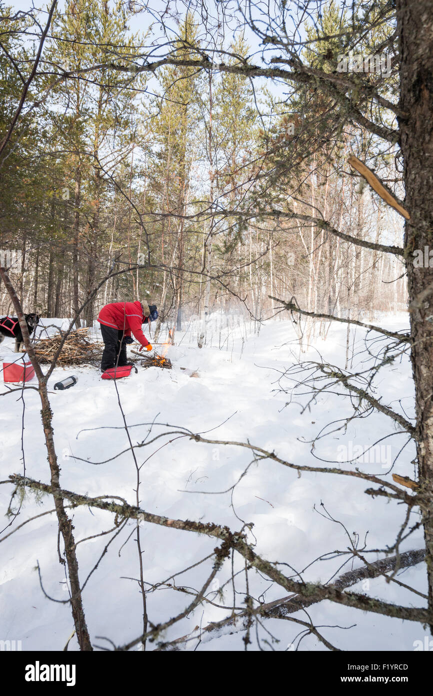 Reife Frau in roten Wintermantel sammelt Zweige um ein Lagerfeuer in der verschneiten Wildnis Mittagessen während Hund Sleddi vorbereiten zu bauen Stockfoto