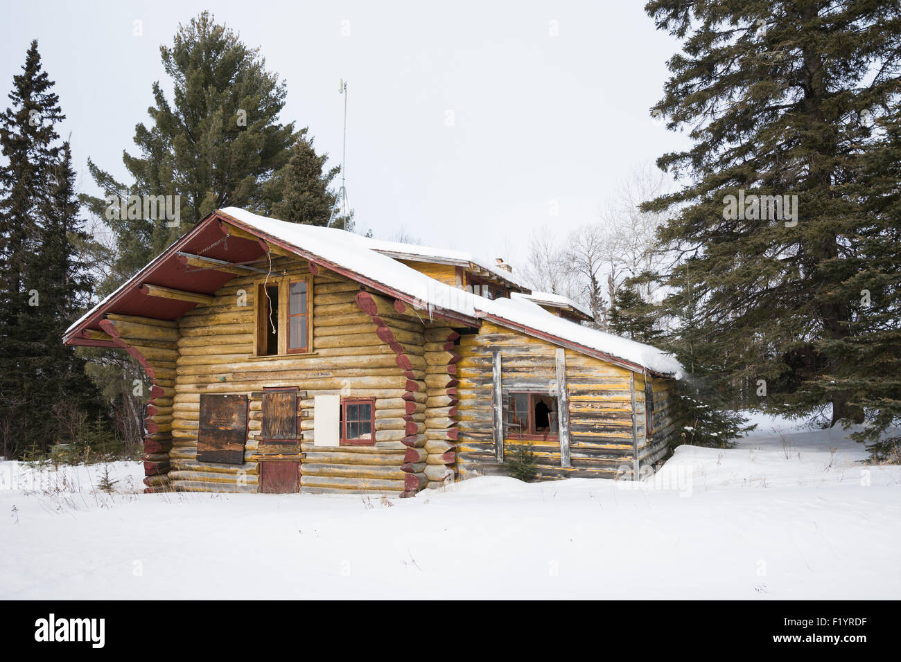 Verlassene Blockhütte im Wald an einem Wintertag, Ely, MN, USA Stockfoto