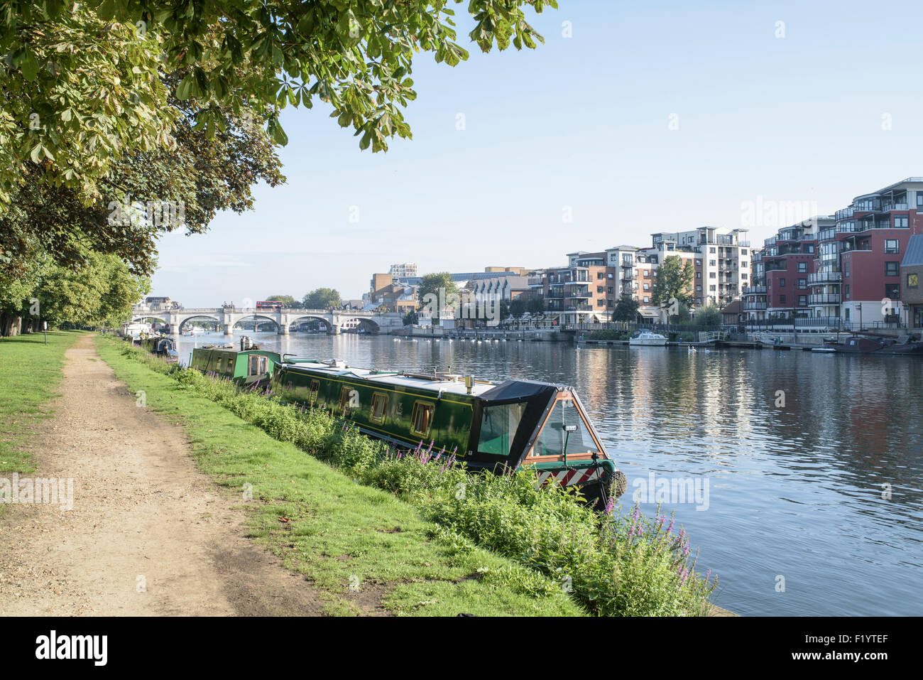 Schmale Boot auf der Themse in Kingston-upon-Thames Stockfoto