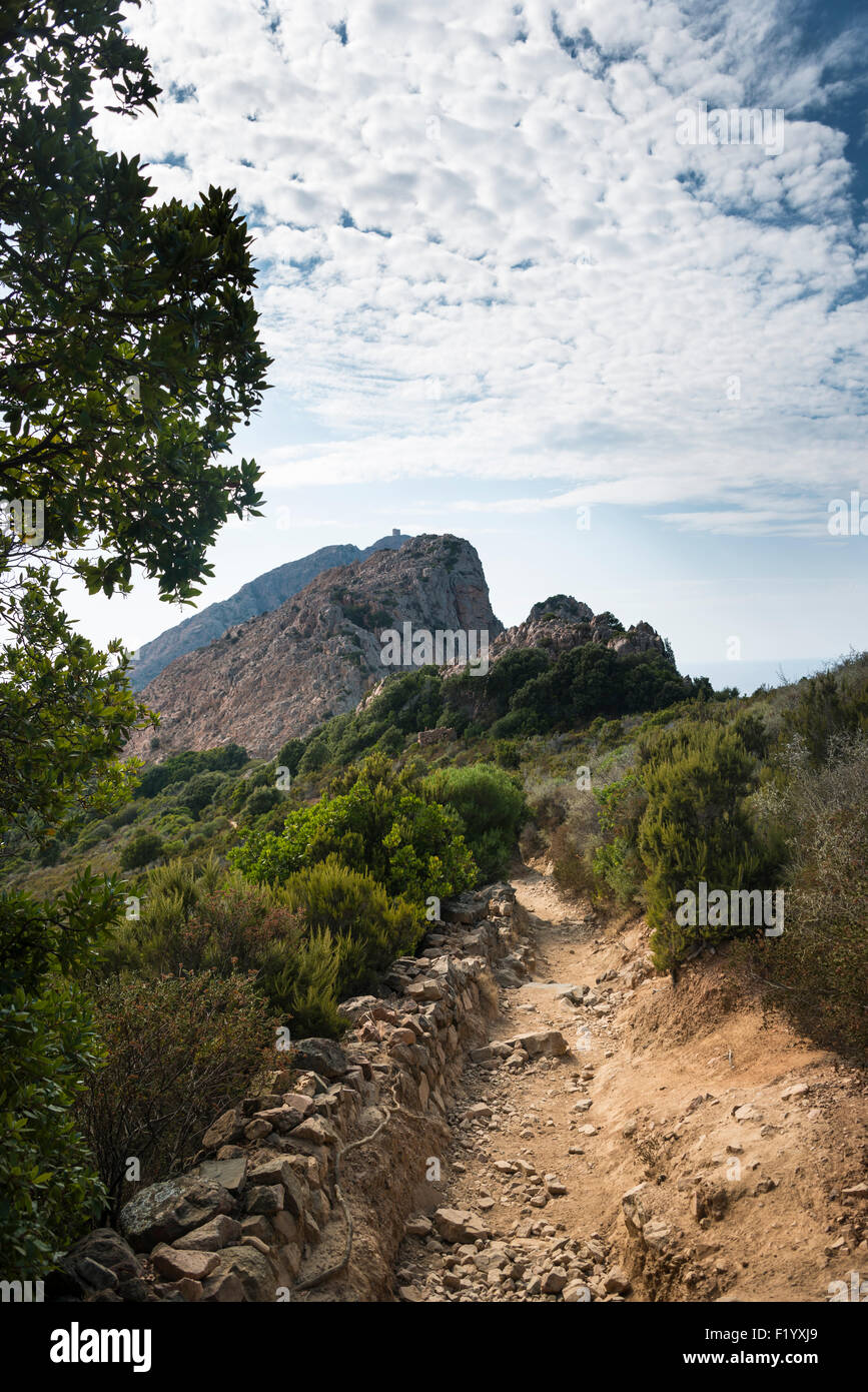 Wanderweg zur genuesischen Turm, Küsten- und Berglandschaft, Golf von Porto, Korsika, Frankreich Stockfoto