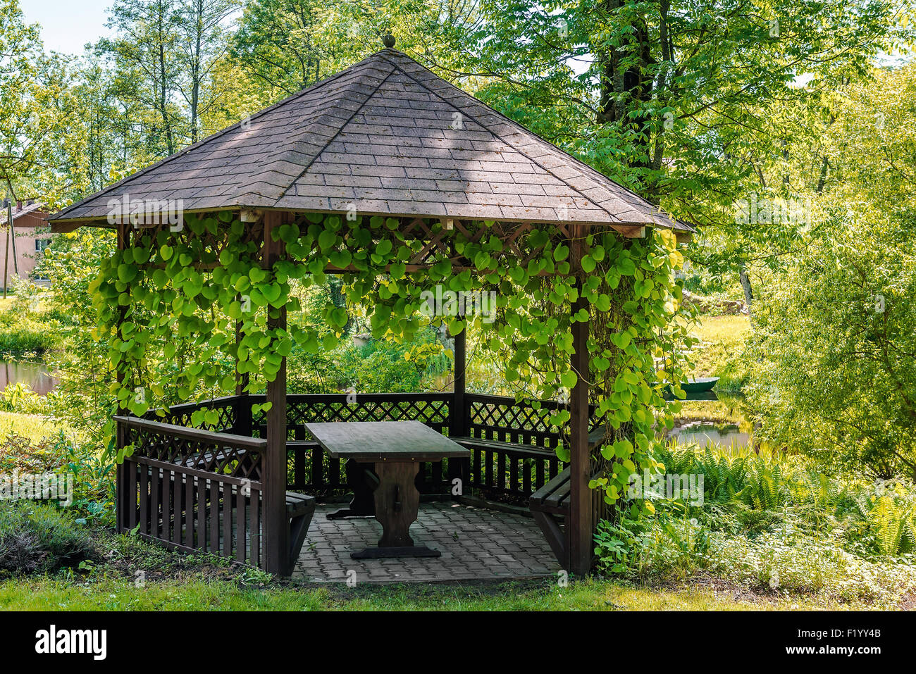 Gartenlaube efeu -Fotos und -Bildmaterial in hoher Auflsung  Alamy