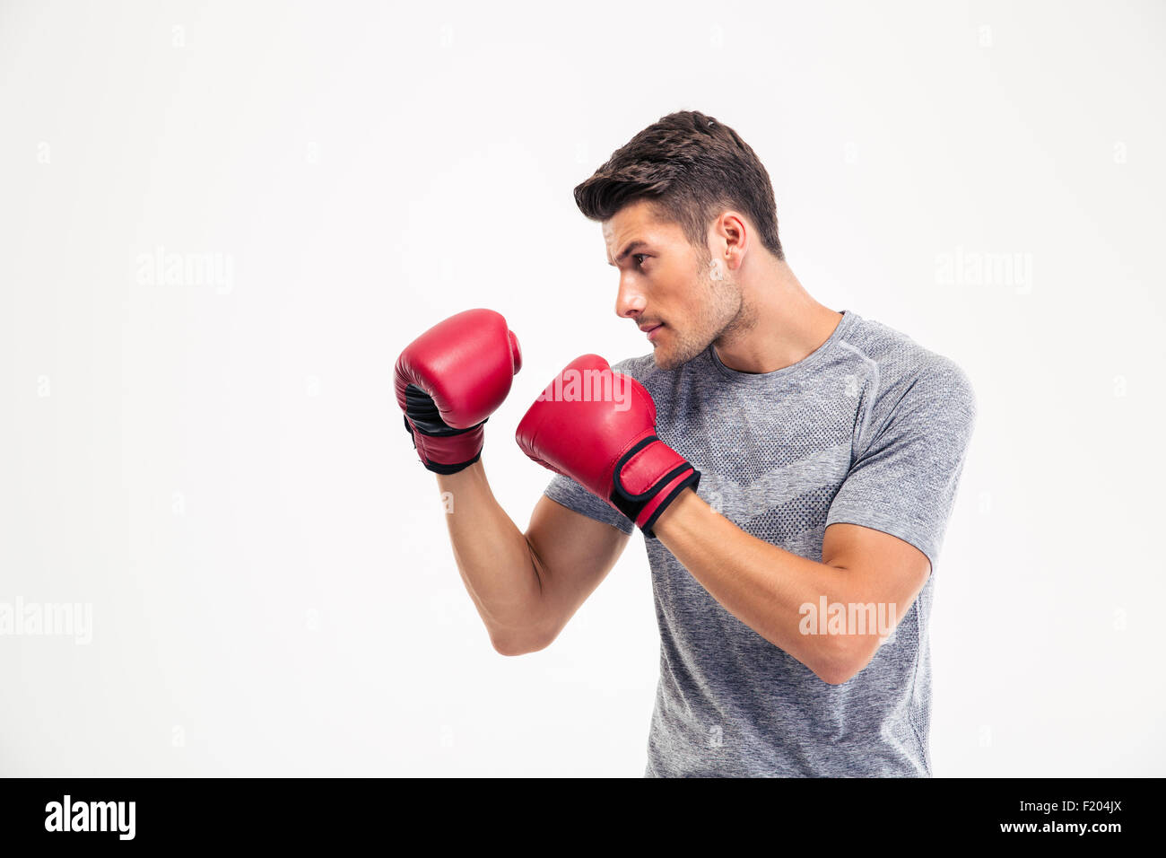 Porträt eines jungen männlichen Boxer isoliert auf weißem Hintergrund Stockfoto