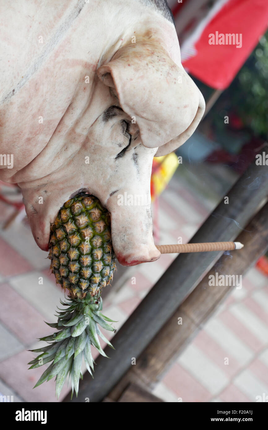 ein Schwein gefüllt bereit für Spieß braten mit Ananas im Maul Stockfoto