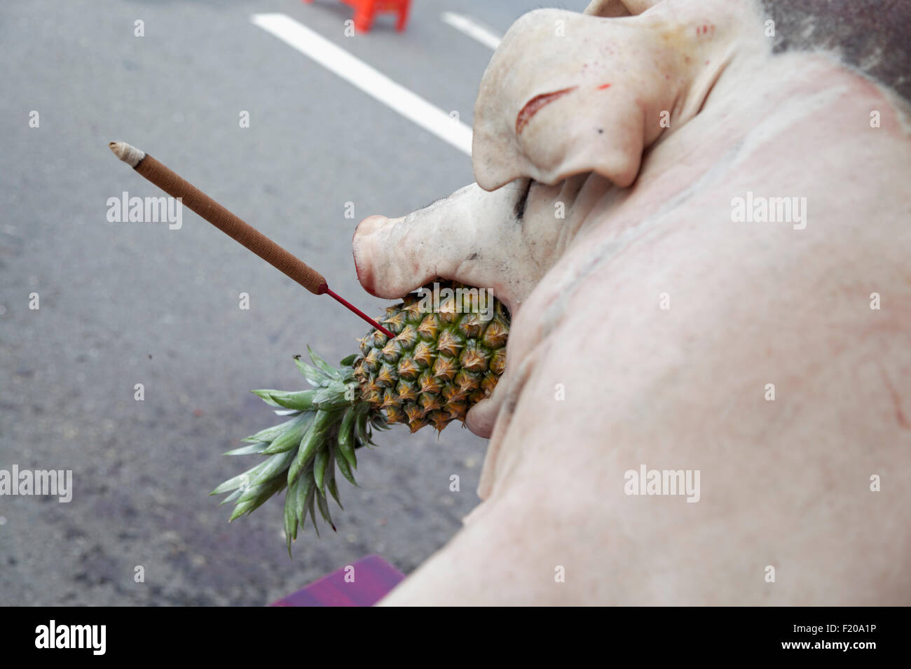 ein Schwein gefüllt bereit für Spieß braten mit Ananas im Maul Stockfoto