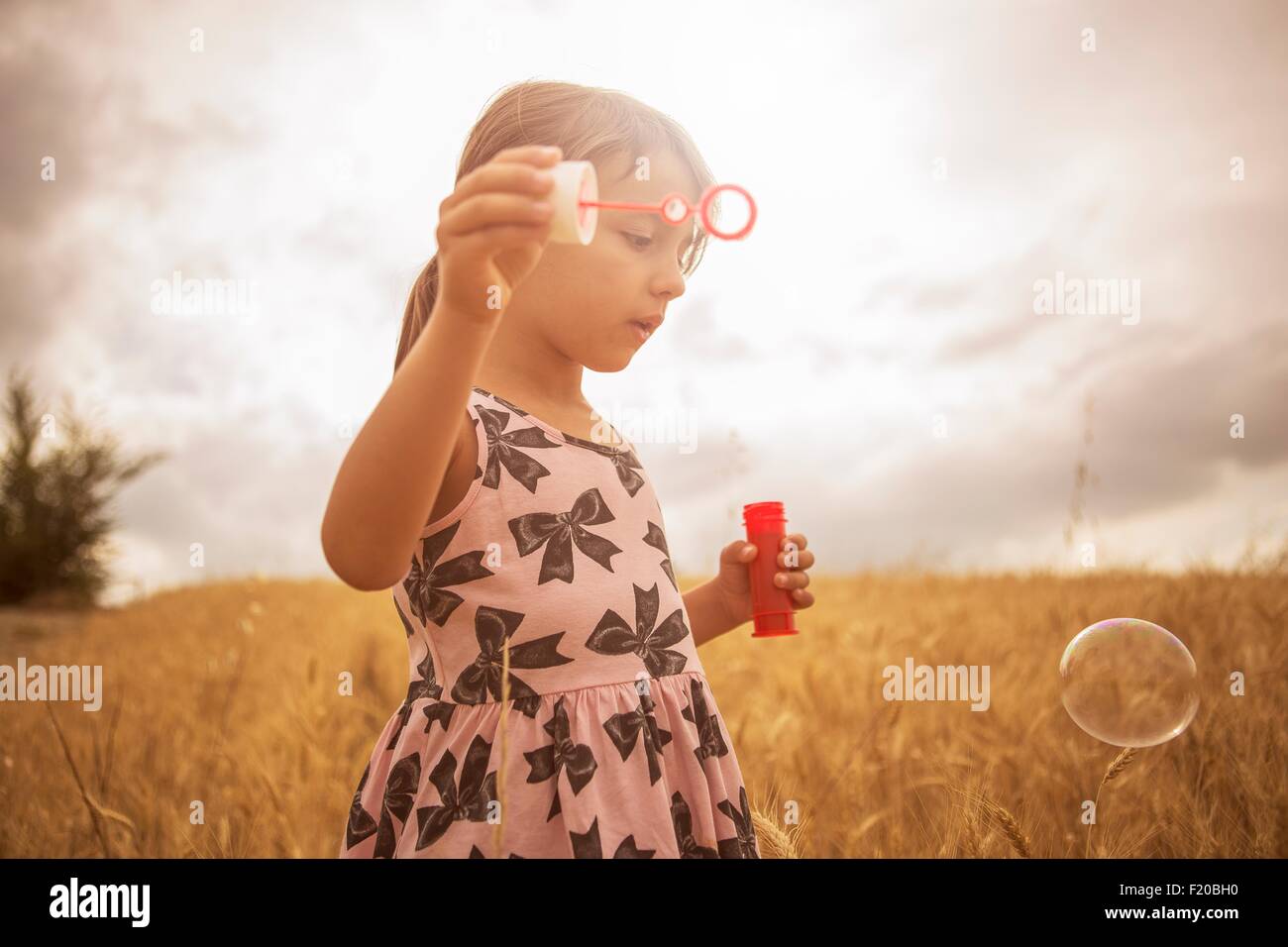 Mädchen bläst Seifenblasen im Weizenfeld Stockfoto