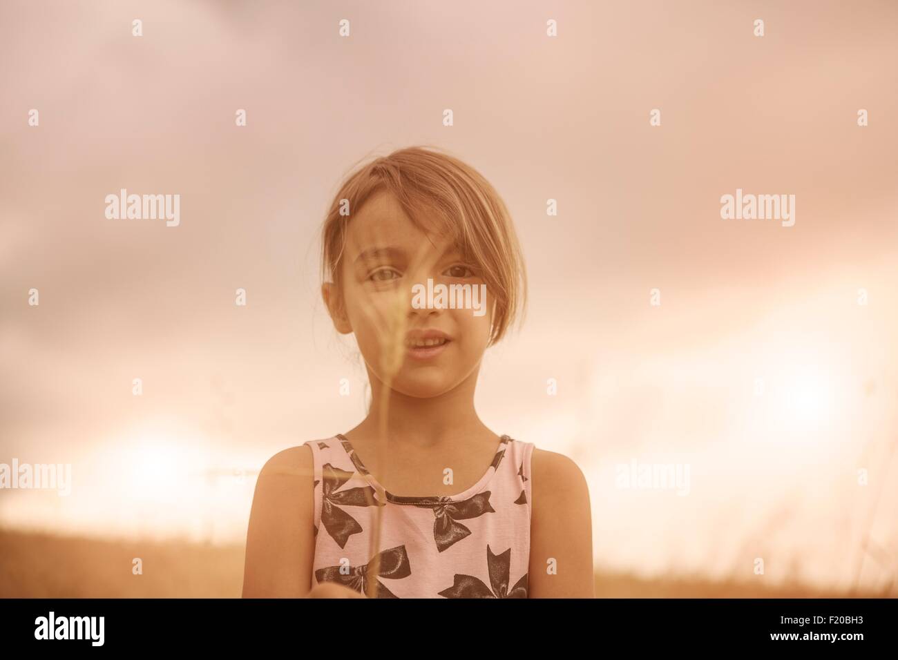 Porträt eines Mädchens mit Ähre vor ihr Gesicht im Weizenfeld Stockfoto