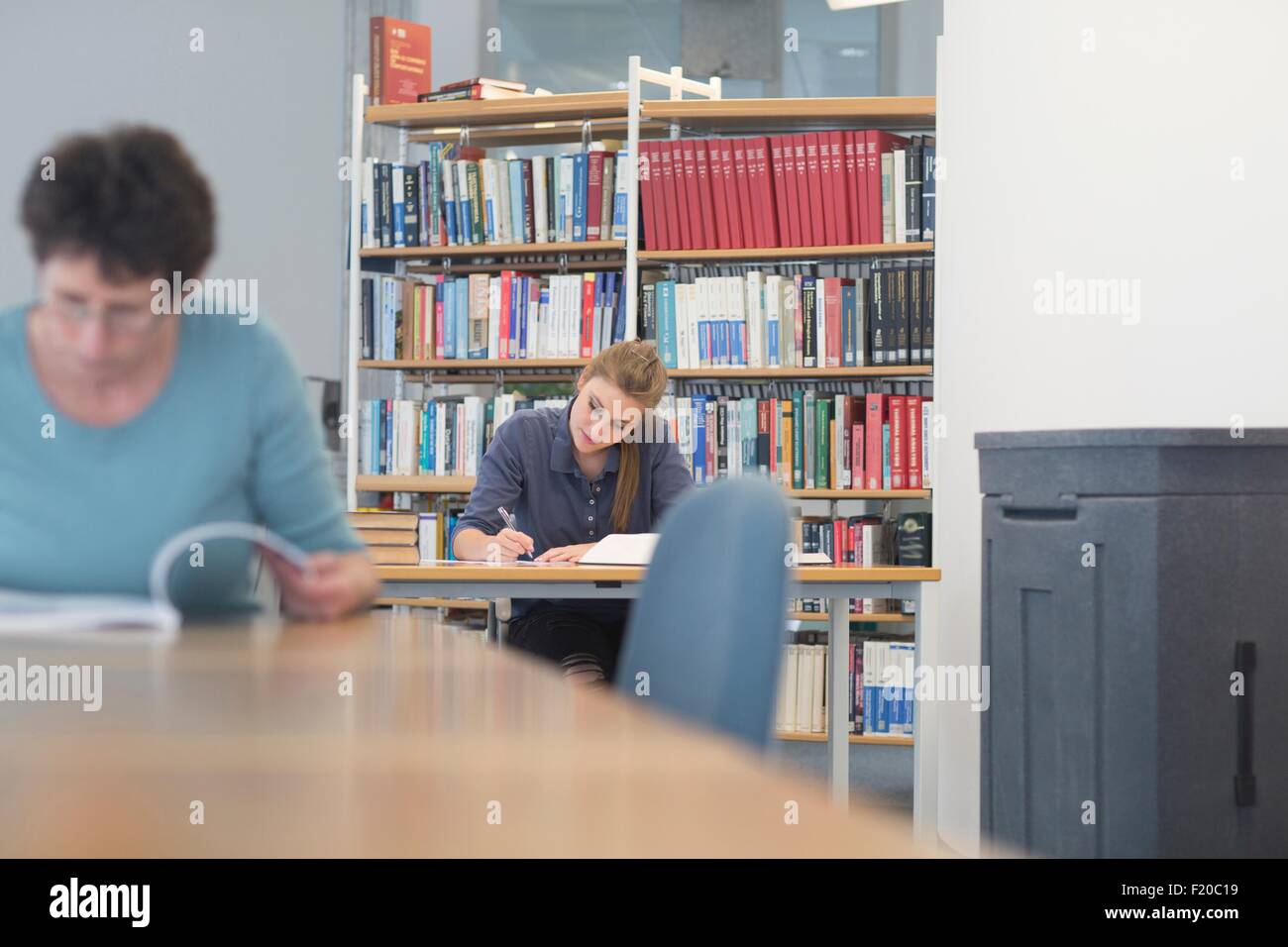 Studentinnen, die Lehrbücher an Schreibtischen Bibliothek lesen Stockfoto