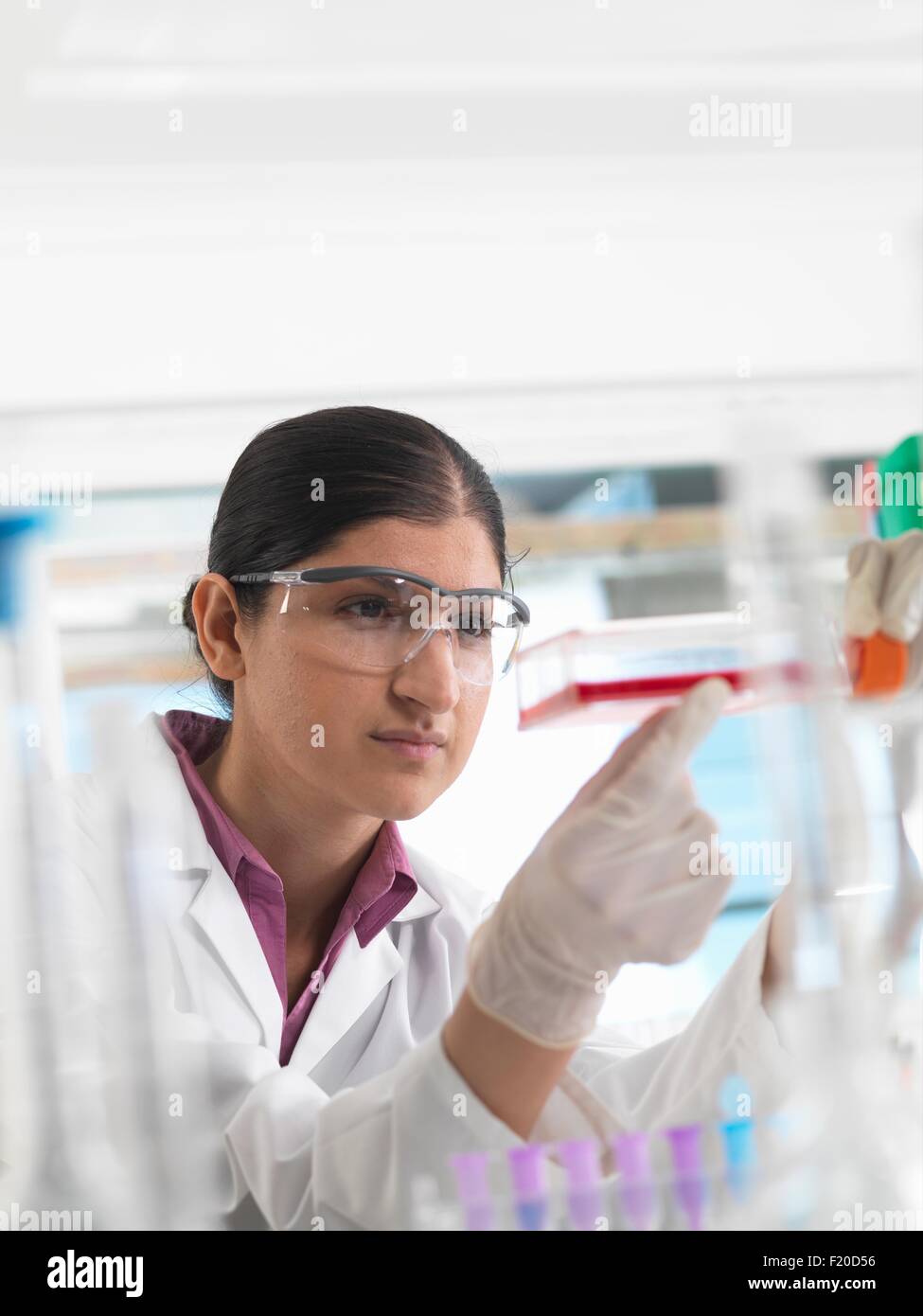 Weiblich/Biologe im Labor, hält ein Fläschchen mit Stammzellen Stockfoto