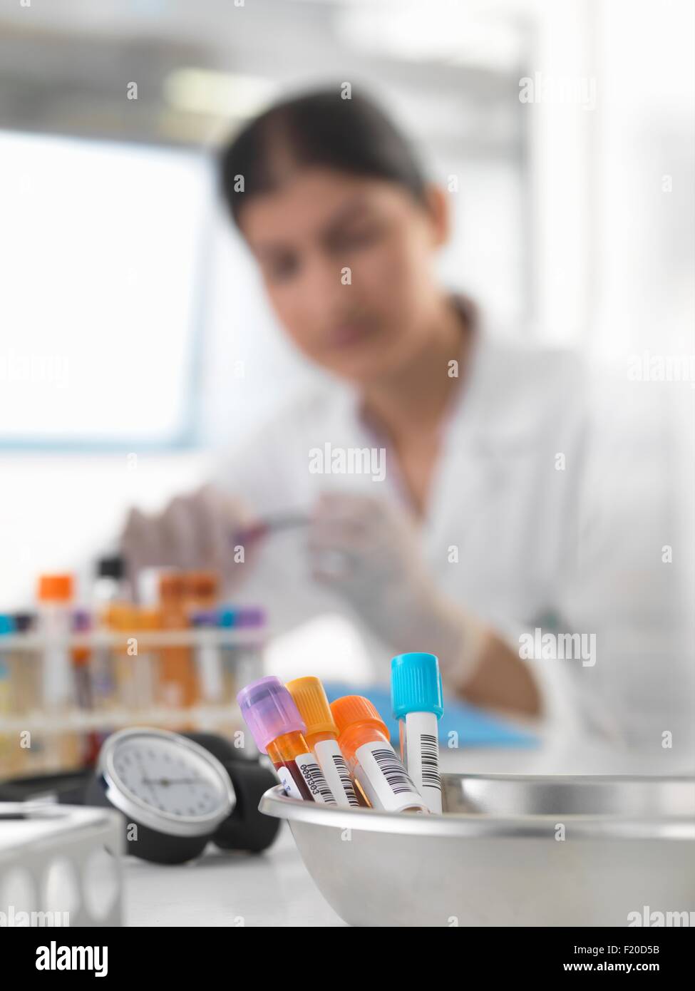 Ärztin, die Vorbereitung von Blutproben am Schreibtisch Stockfoto