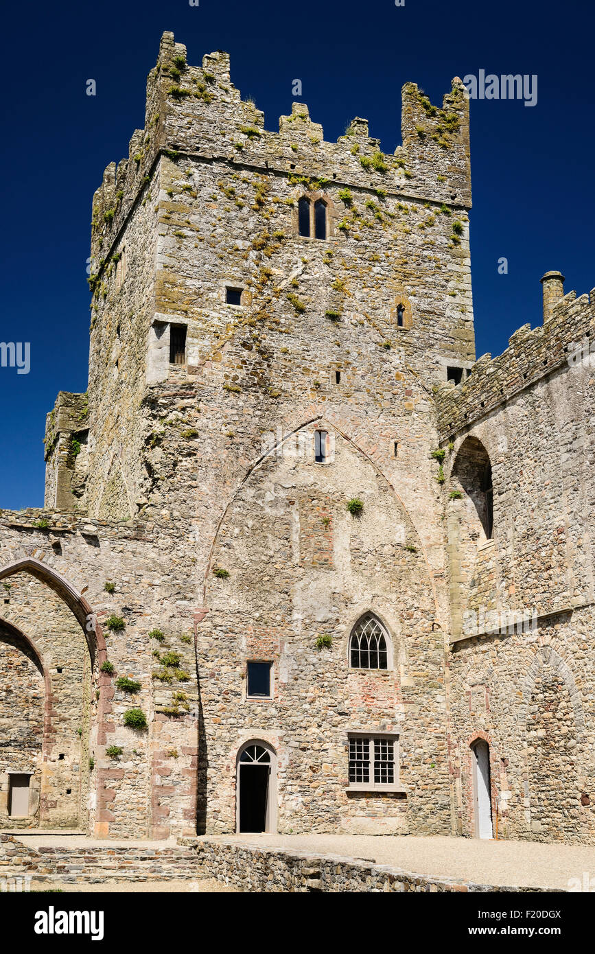 Irland, County Wexford, Tintern Abbey, 13. Jahrhundert Zisterzienser-Abtei. Stockfoto