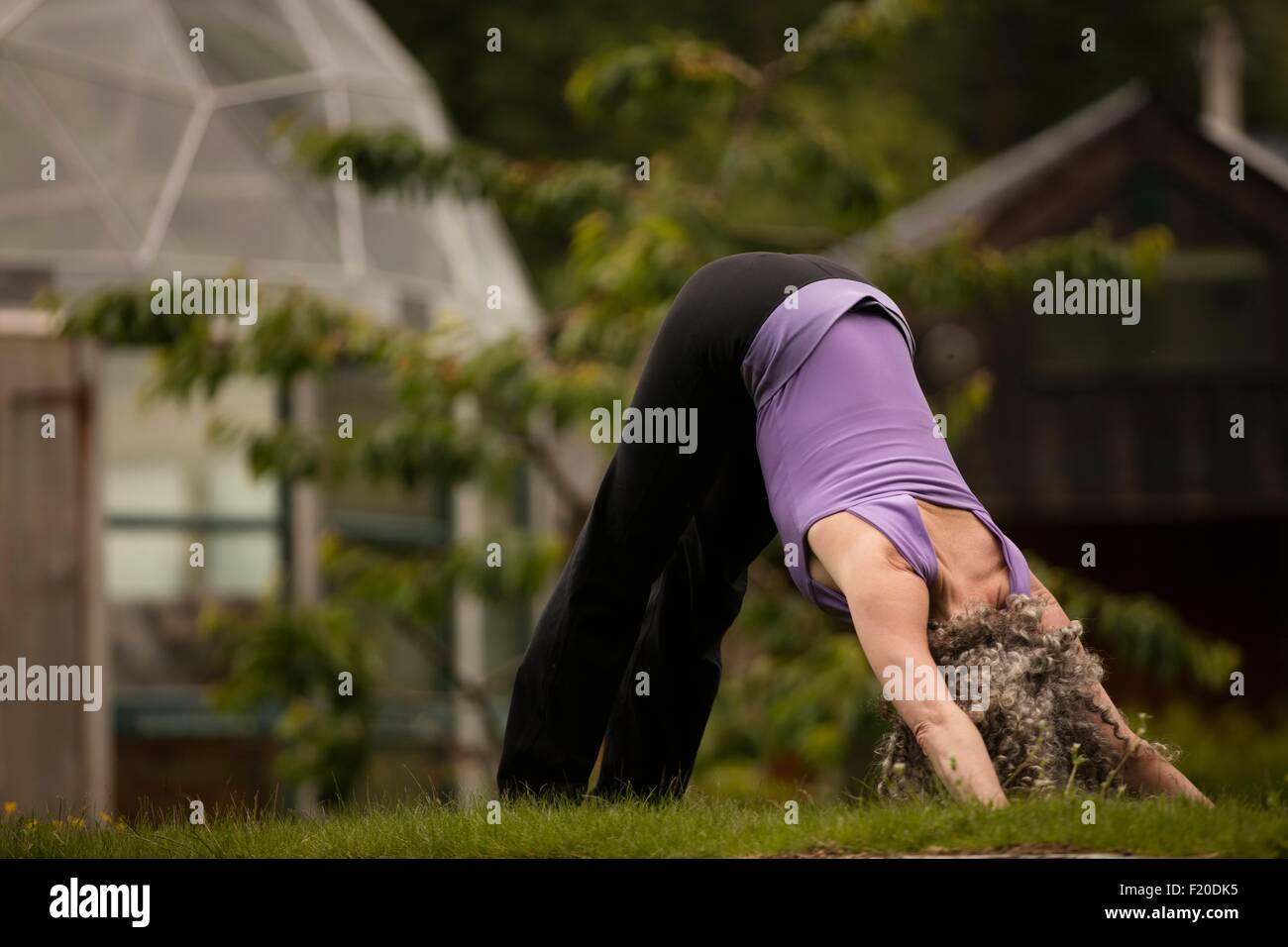Reife Frau praktizieren Yoga nach unten Hund in Eco Lodge Garten Stockfoto