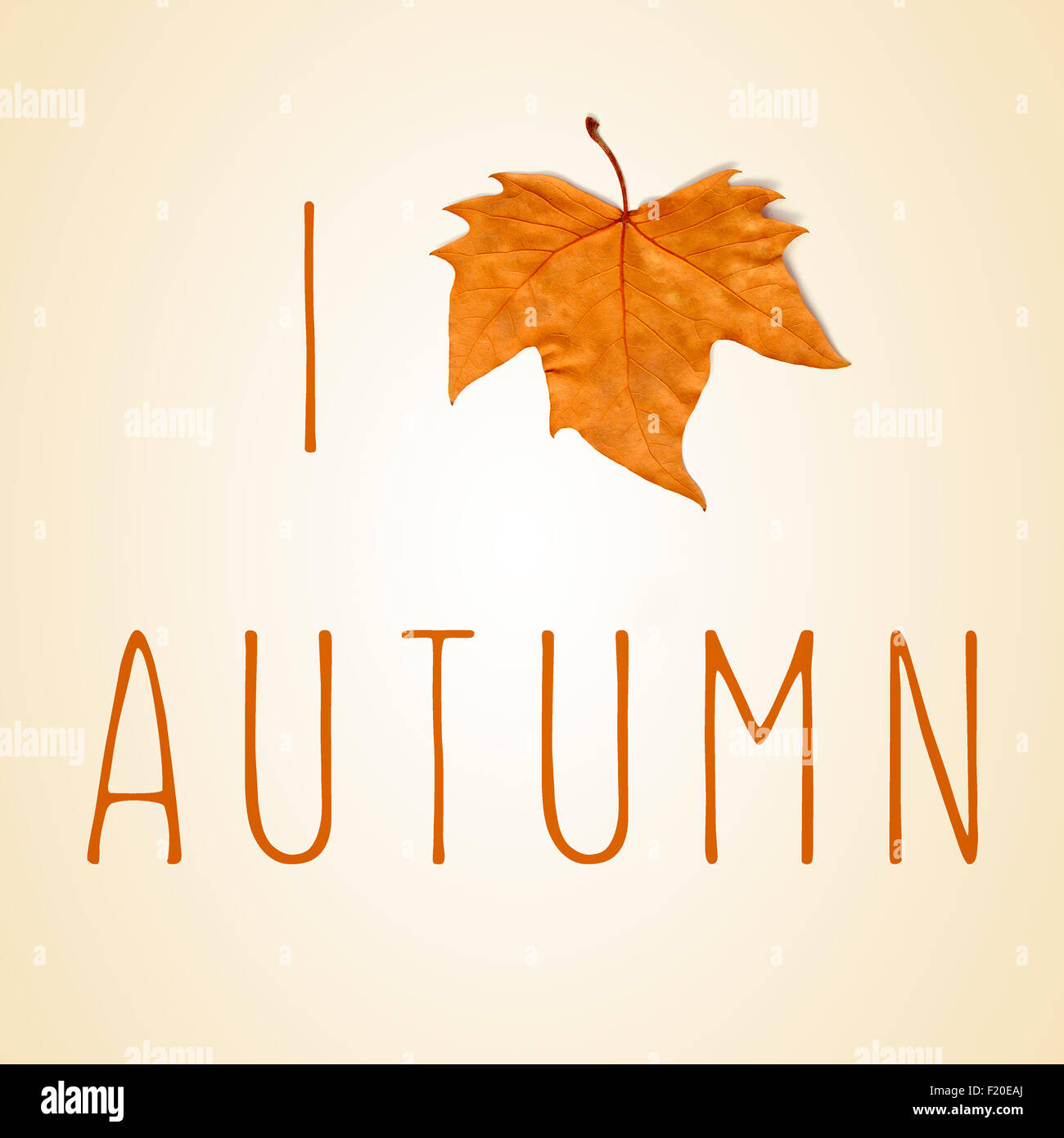 der Satz ich liebe Herbst mit ein welkes Blatt anstelle eines Herzens auf einem beigen Hintergrund Stockfoto