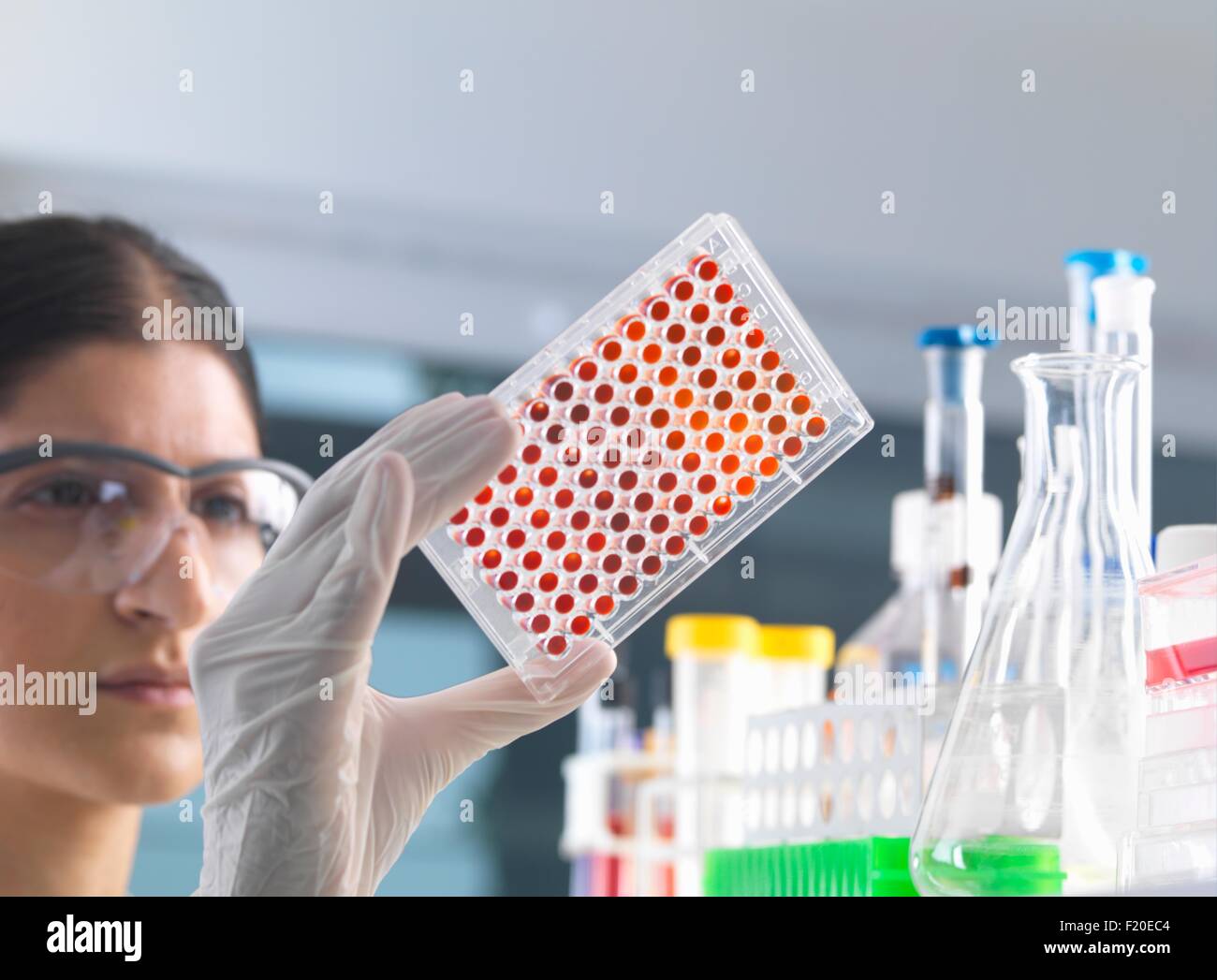 Wissenschaftlerin Mikroplatte Blutproben im Labor testen Stockfoto