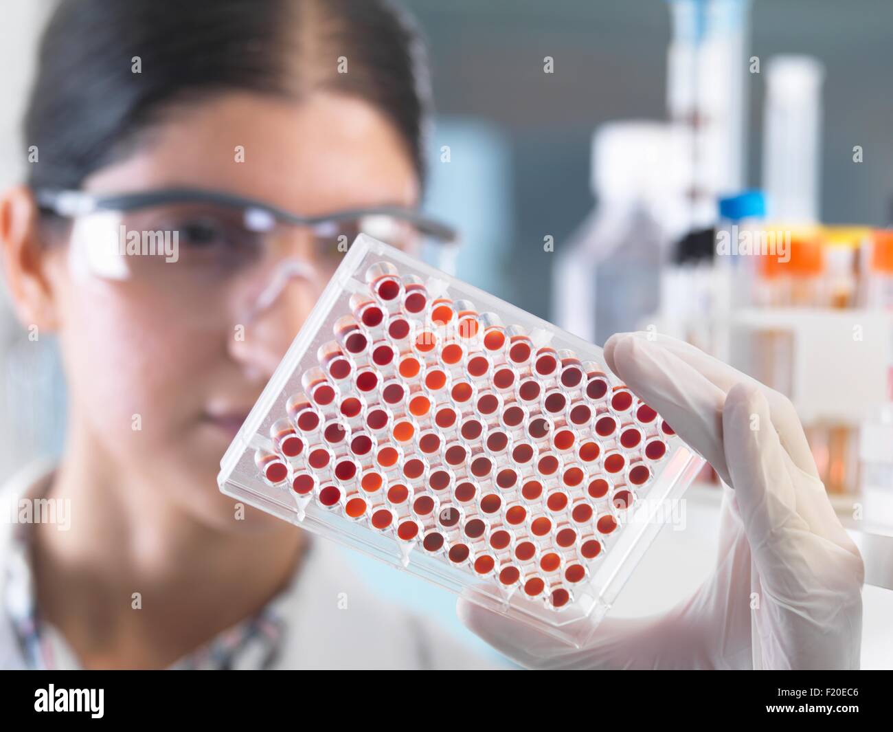 Nahaufnahme der Wissenschaftlerin Mikroplatte Blutproben im Labor untersuchen Stockfoto