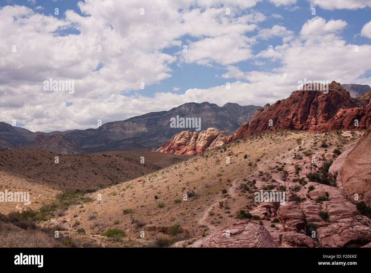 Red Rock Canyon National Conservation Area Landschaft, Las Vegas, Nevada, USA Stockfoto