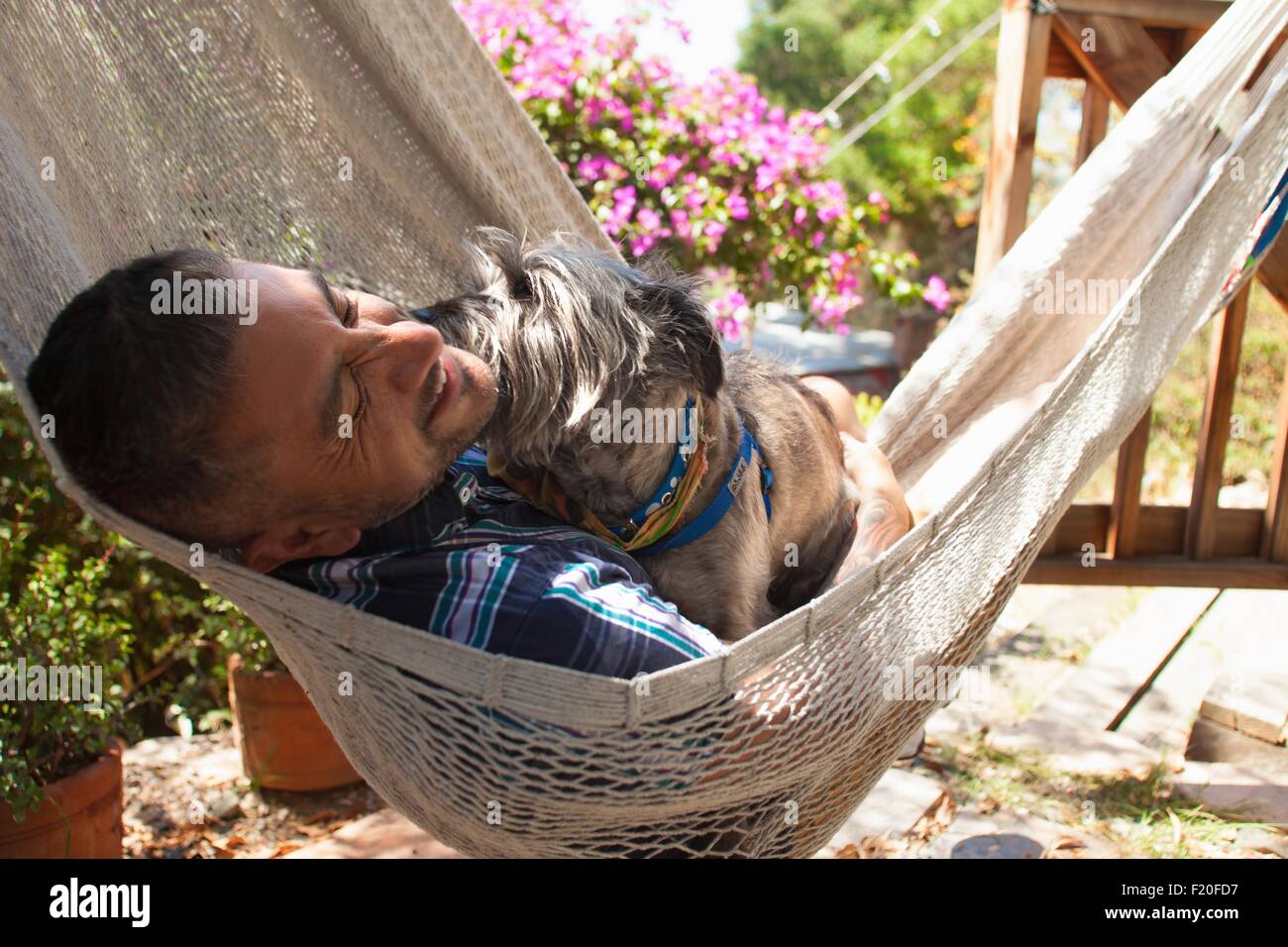 Mitte erwachsener Mann im Garten Hängematte mit Hund Stockfoto