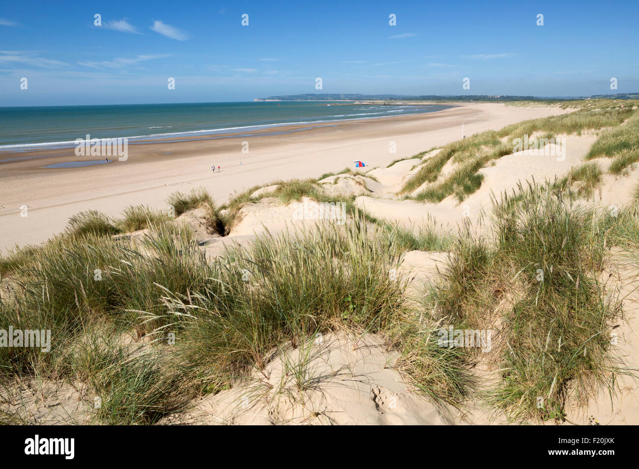 Dünen und Strand, Camber Sands, Wölbung, in der Nähe von Roggen, East Sussex, England, Vereinigtes Königreich, Europa Stockfoto