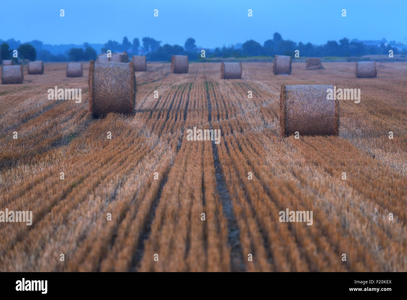 Erstaunliche Ländliches Motiv auf Herbst Feld mit Stroh Rollen und dramatische Abendlicht. Stockfoto