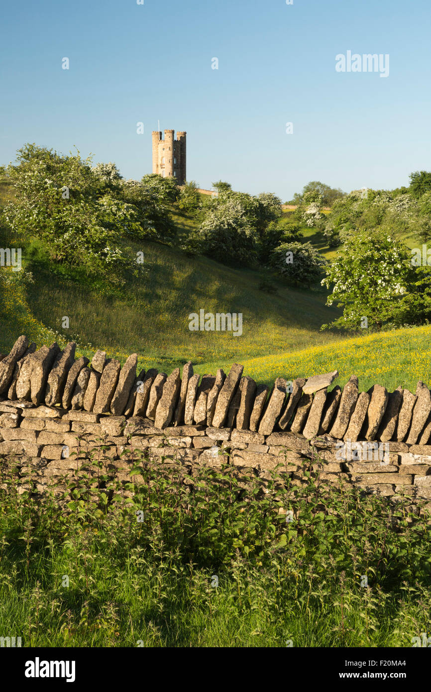 Broadway Tower mitten im Frühling blühenden Weißdorn Büsche und Ranunkeln, Broadway Cotswolds, Worcestershire, England, Vereinigtes Königreich, Europa Stockfoto