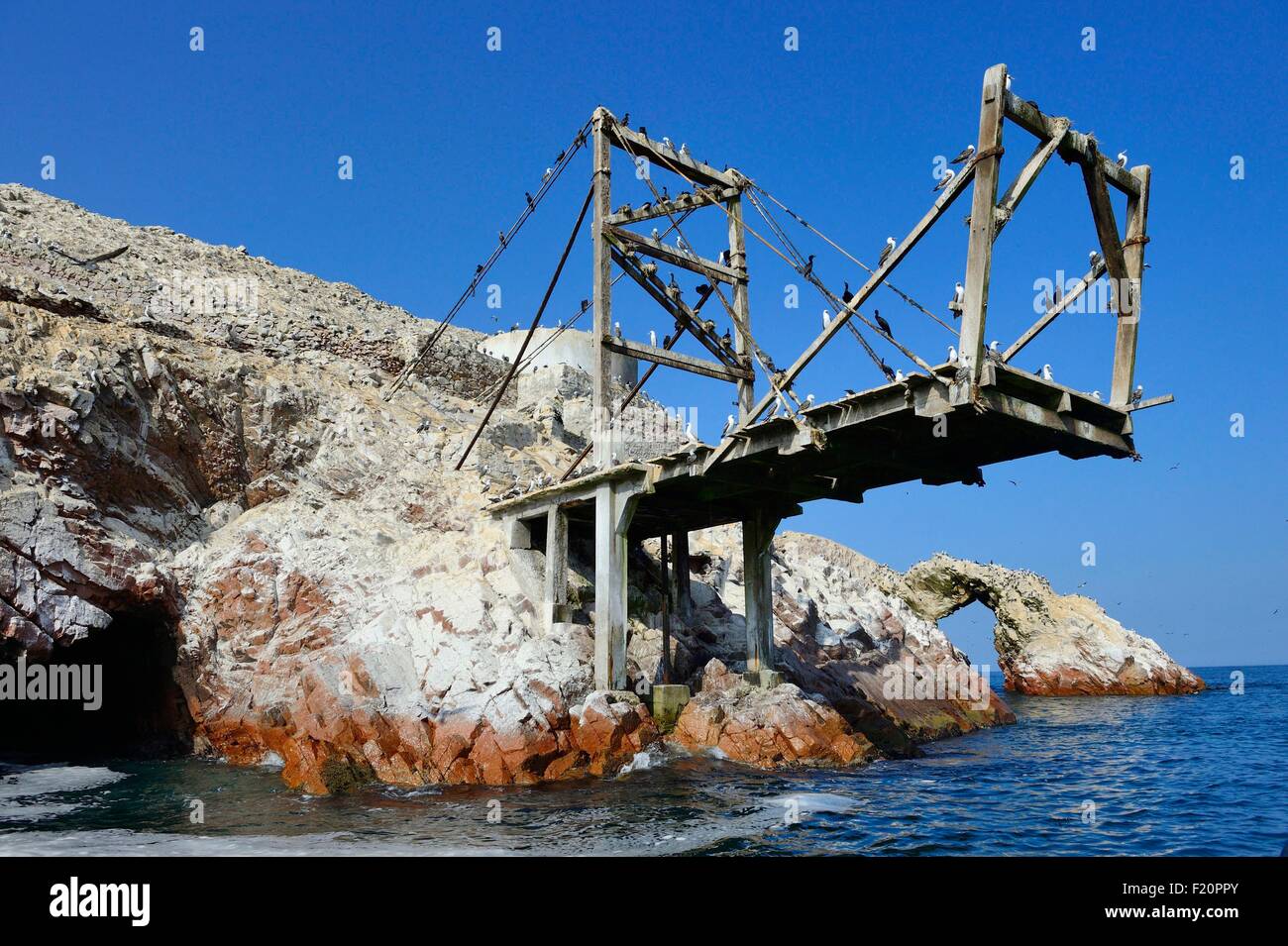 Peru, Pisco Provinz Ballestas Inseln, Bootsfahrt ber Paracas  Nationalreservat, Vogelschutzgebiet, wo leben viele Seevgel-Kolonien  erzeugen Guano als Dnger verwendet werden Stockfotografie - Alamy