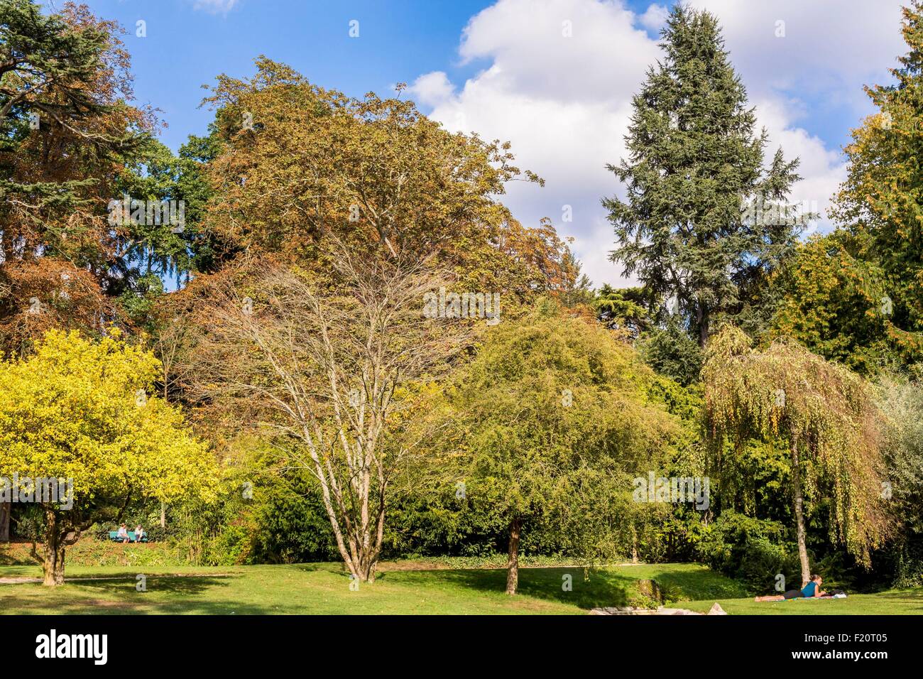 Frankreich, Ille et Vilaine, Rennes, Thabor parken, öffentliche Garten aus dem 18. Jahrhundert Stockfoto