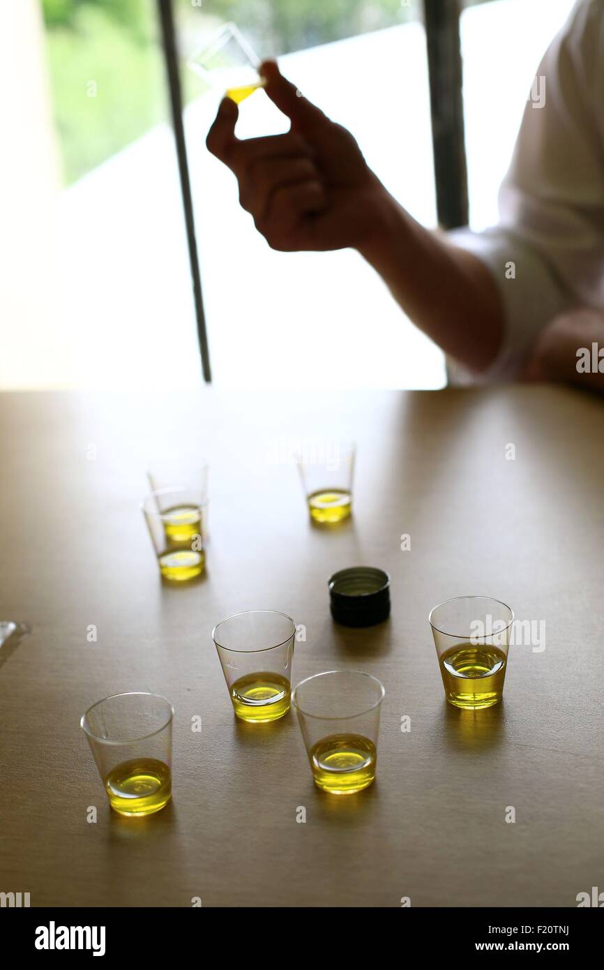Frankreich, Vaucluse, Comtat Venaissin, Caromb, Öl Mühle Comtat, Haut-Brüder Verkostung Stockfoto