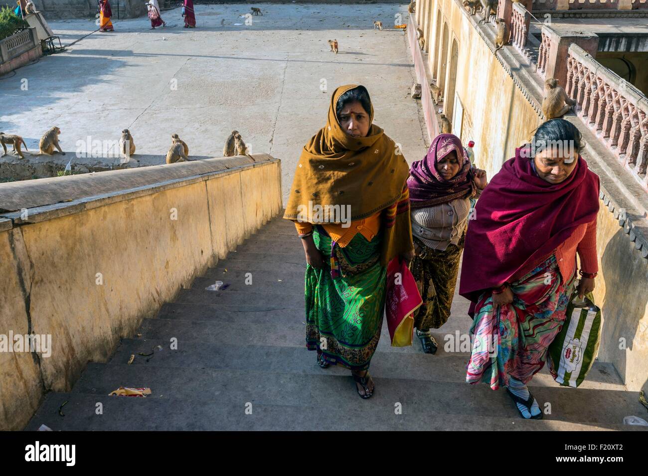 Indien, Rajasthan Zustand, Jaipur, Galta Ji Tempel dem Gott Hanuman gewidmet Stockfoto