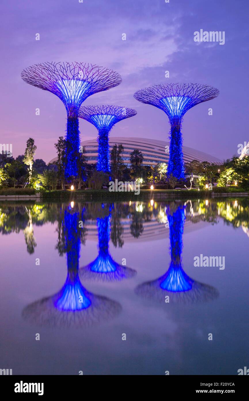 Singapur, Marina Bay, Garten an der Bucht, Botanischer Garten, Supertree Grove Stockfoto