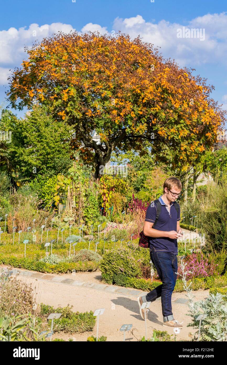 Frankreich, Ille et Vilaine, Rennes, Thabor parken, öffentliche Garten aus dem 18. Jahrhundert, Botanischer Garten Stockfoto