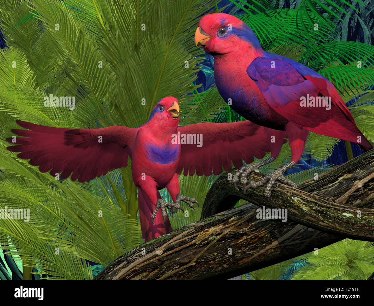Die roten und blauen Lory Papagei ist eine vom Aussterben bedrohte Papagei und lebt in Indonesien. Stockfoto